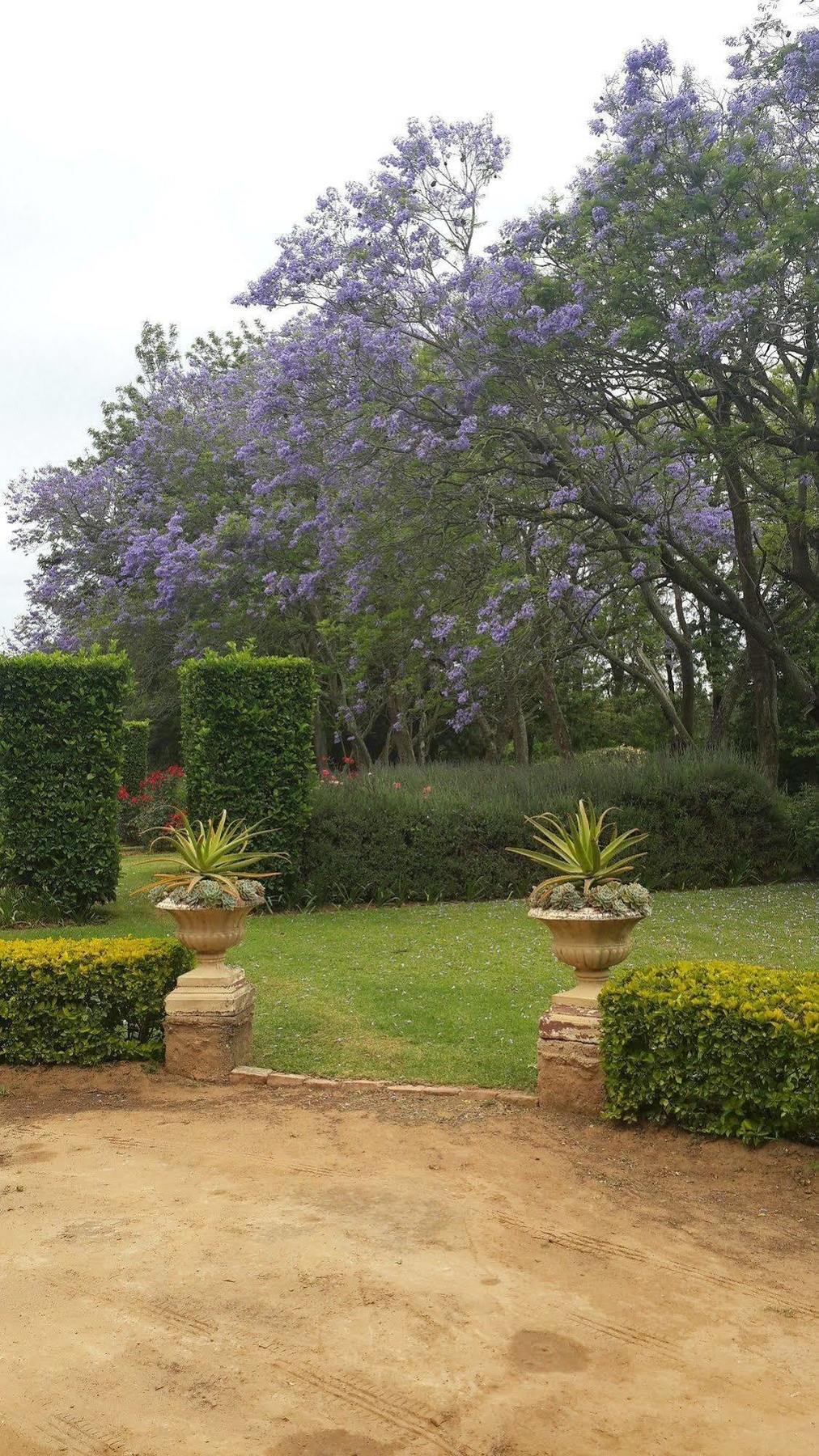 Hopefield Country House Addo Exterior foto
